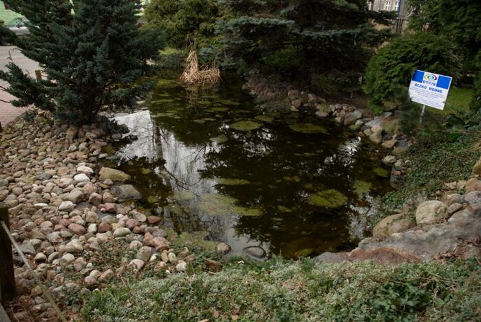 obrazek prezentujacy